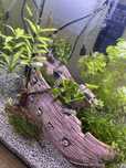 Decoracao aquario 27cm