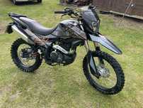 SHINERAY xy 250gy-6C