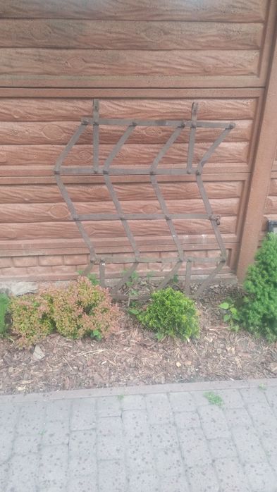 Brony konne lekkie ciężkie różne rodzaje