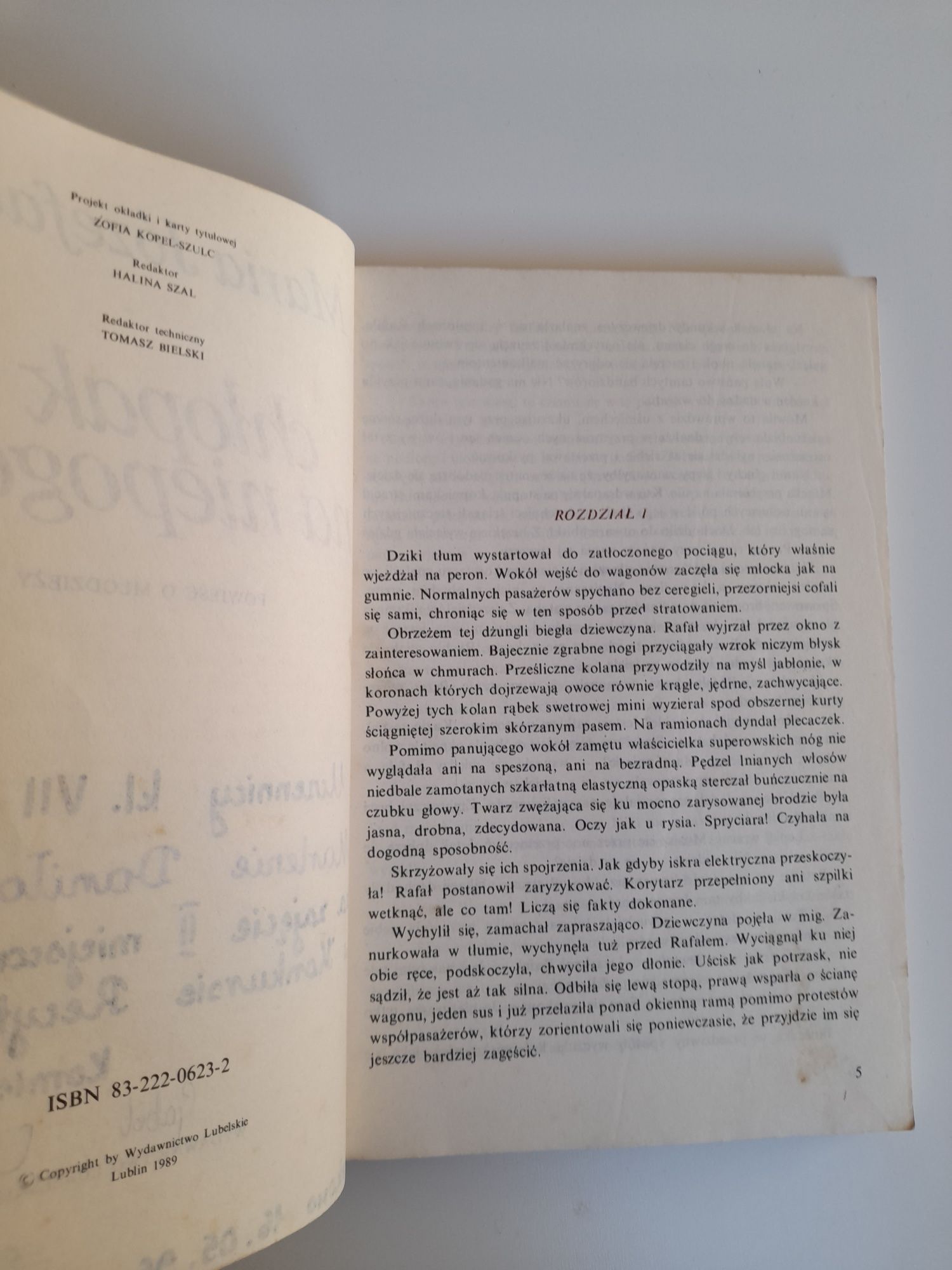 Książka Chłopak na niepogodę  autor Maria Józefacka