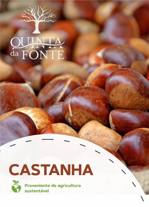 Castanha Portuguesa