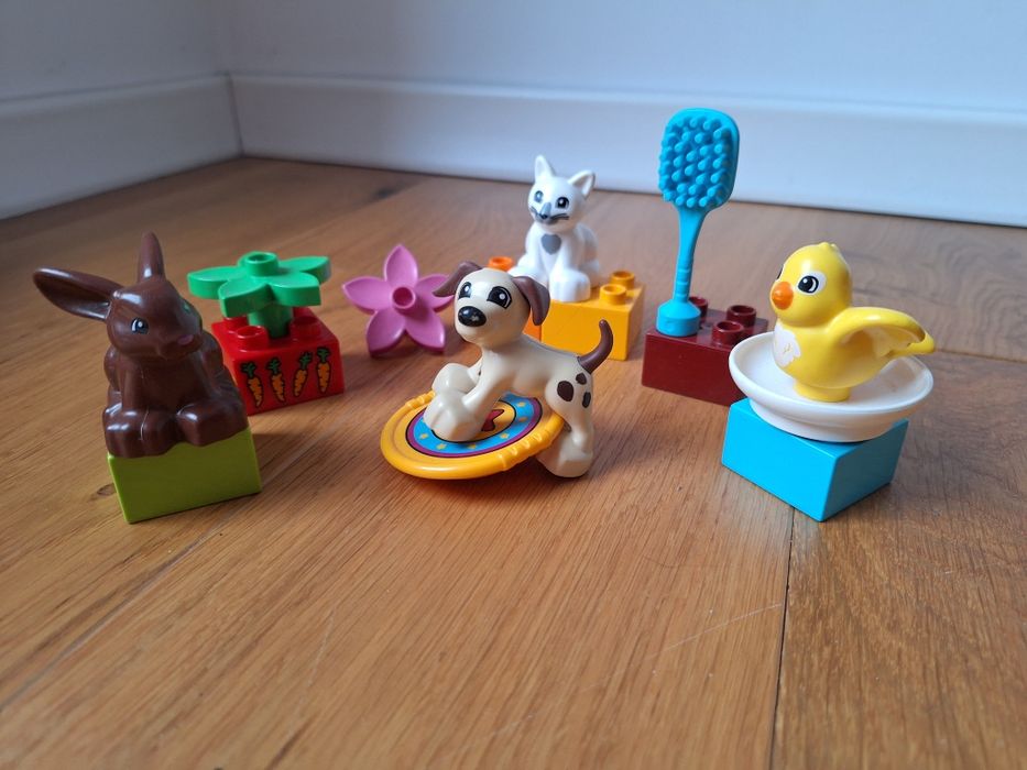 LEGO Duplo Zwierzątka domowe 10838 Zwierzęta domowe