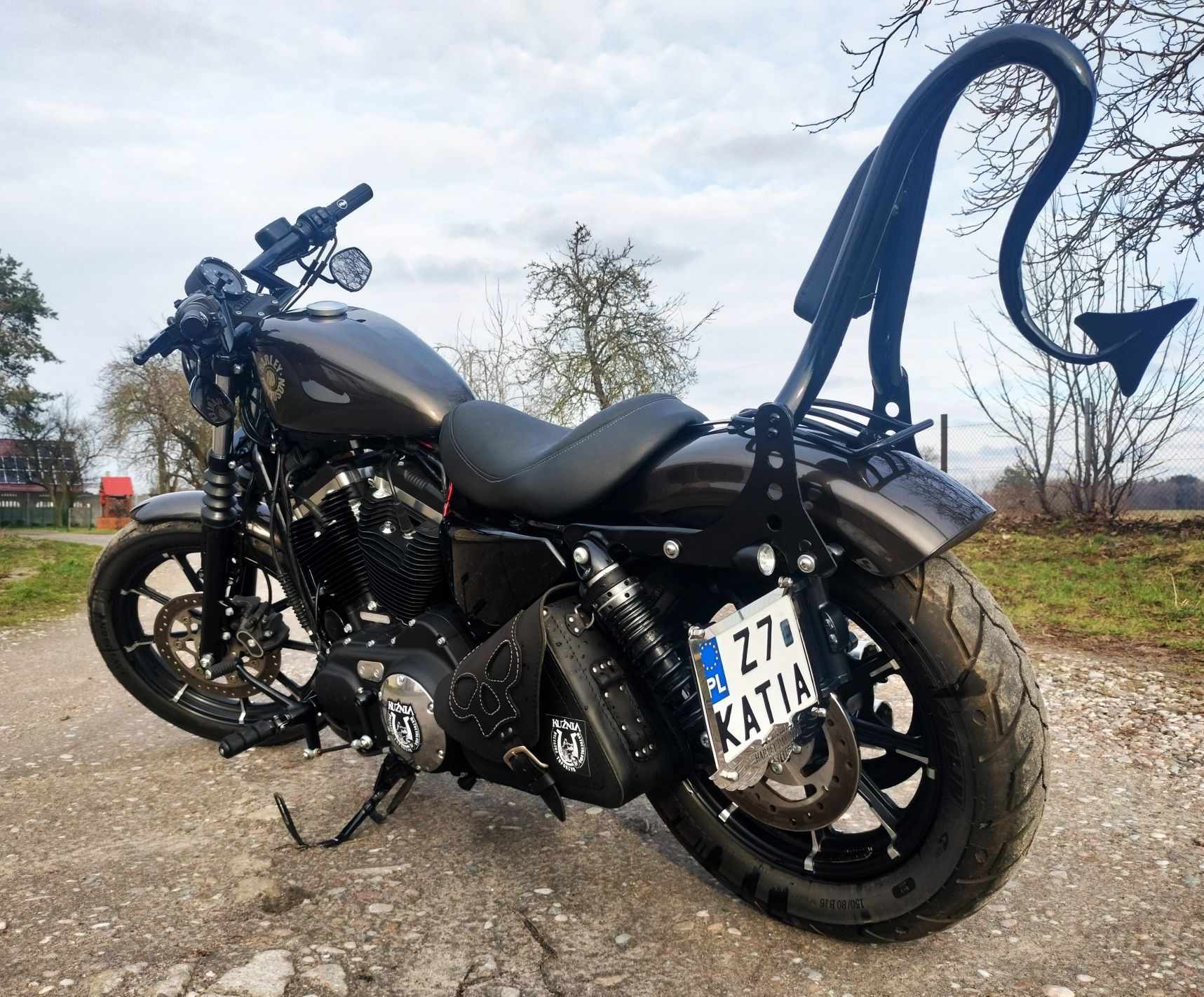 Harley Davidson Sportster Iron 883