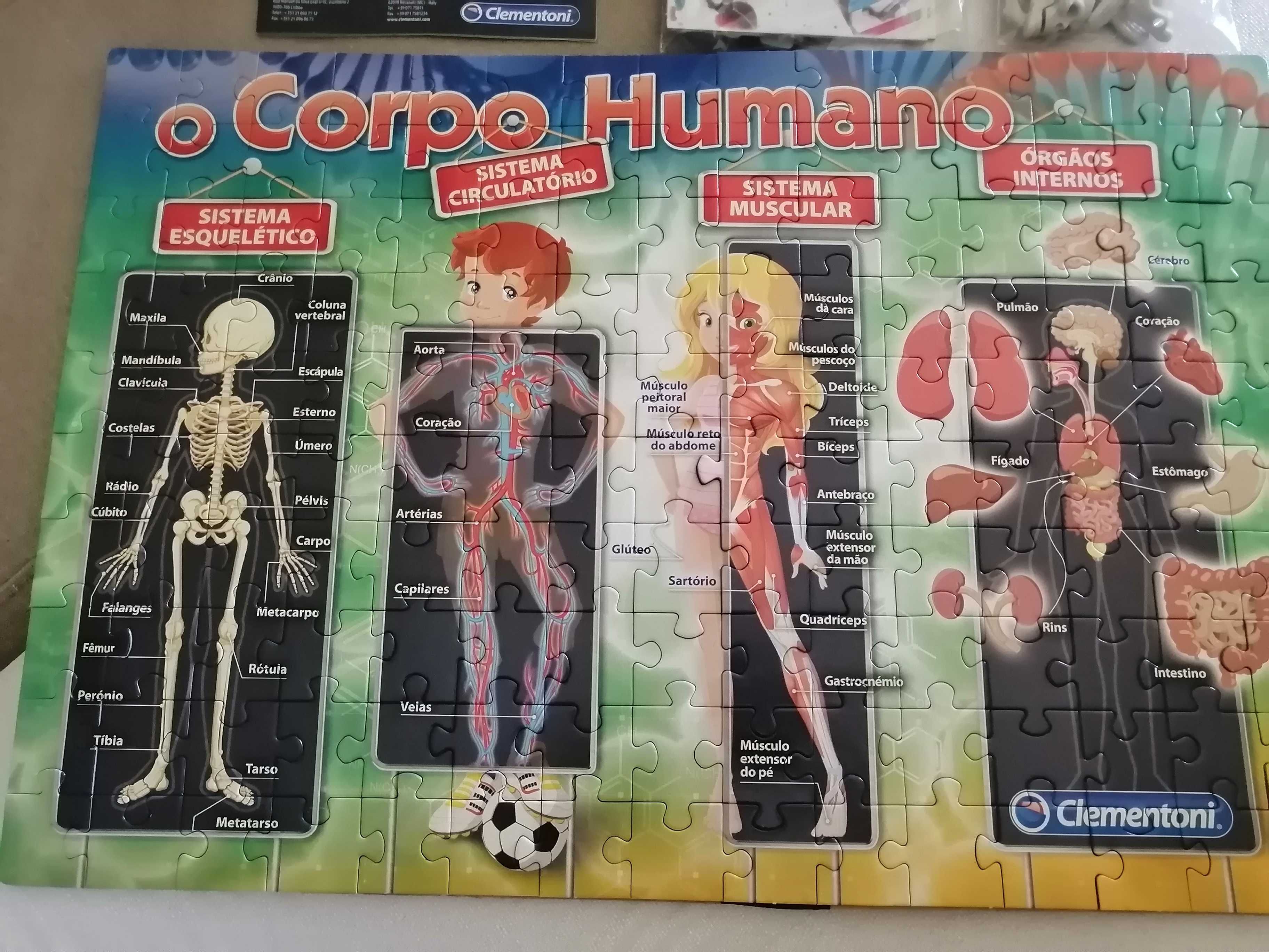 Kit corpo humano Clementoni