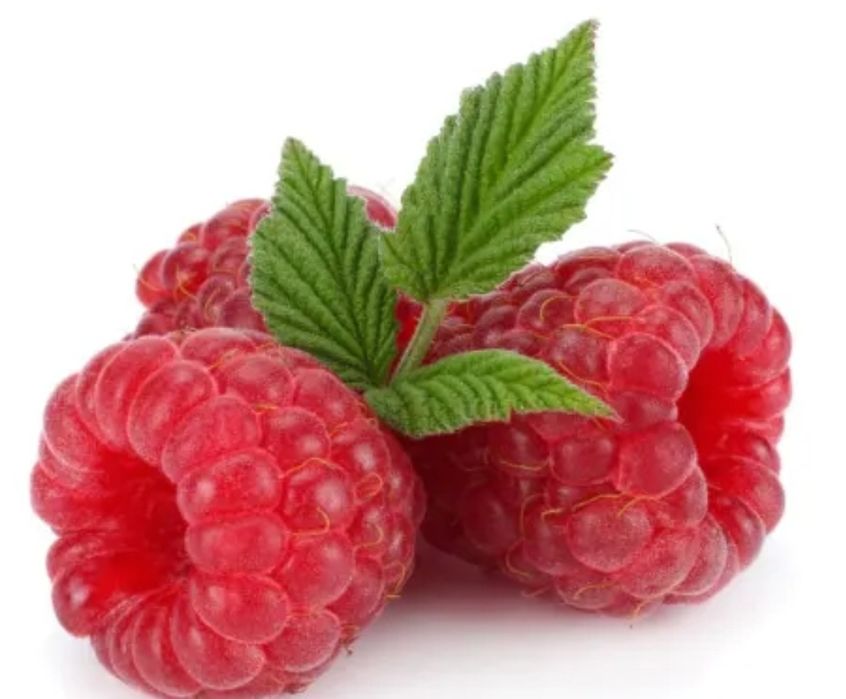 Świeże Maliny prosto z plantacji