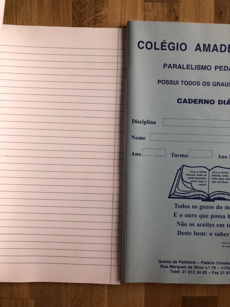 2 cadernos pautados colégio amadeu andrés (escola selecta)