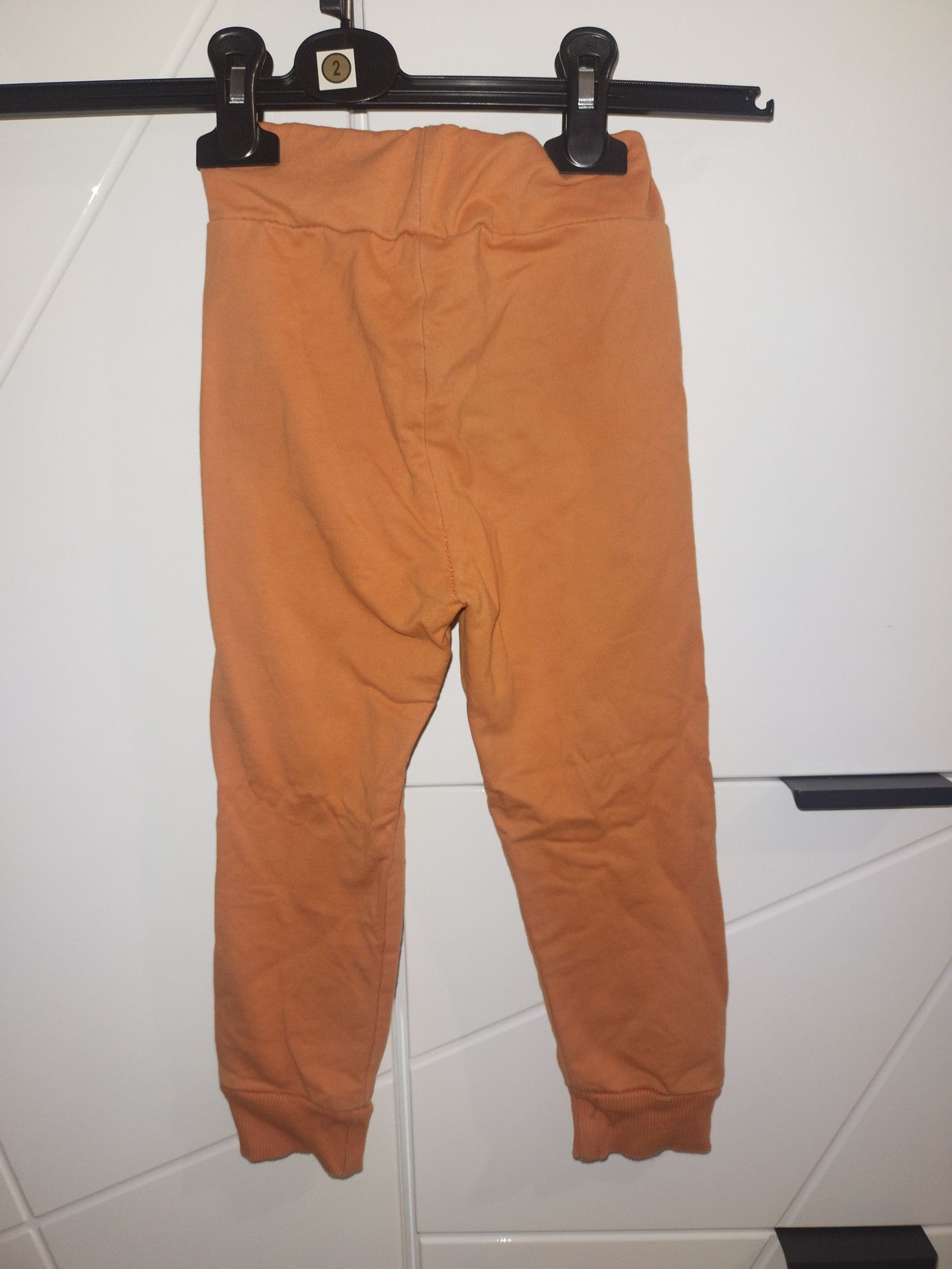 Bluza  chłopięca