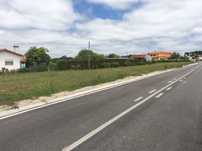 Terreno- Seixo- Gatões