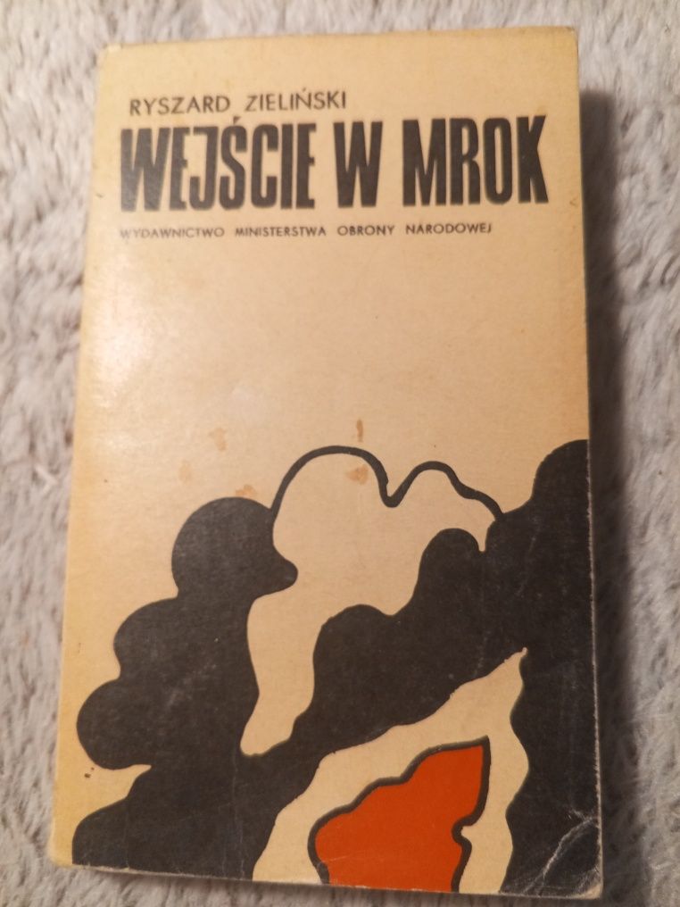 Wejście w mrok - Ryszard Zieliński