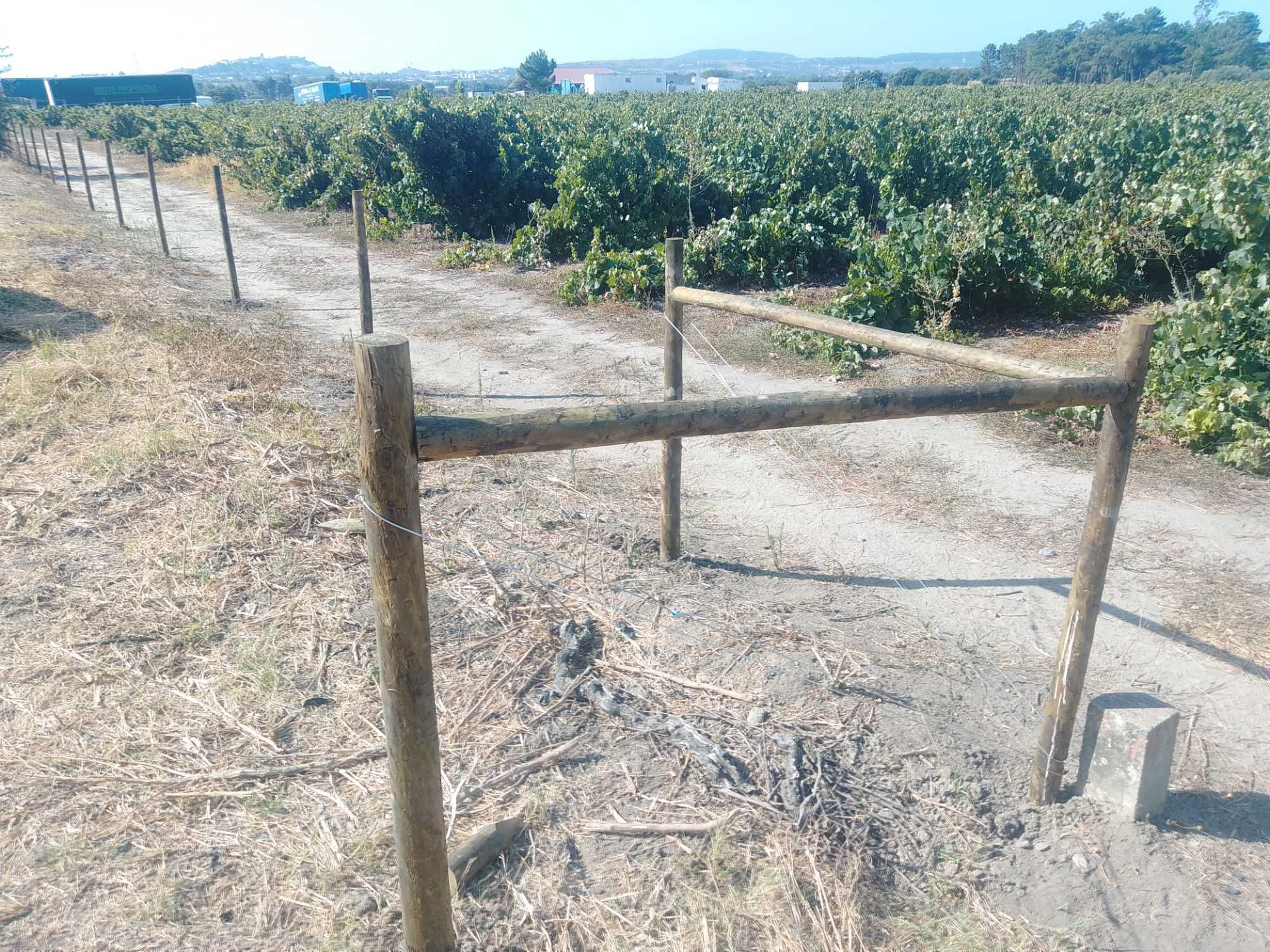 Limpeza de terrenos
