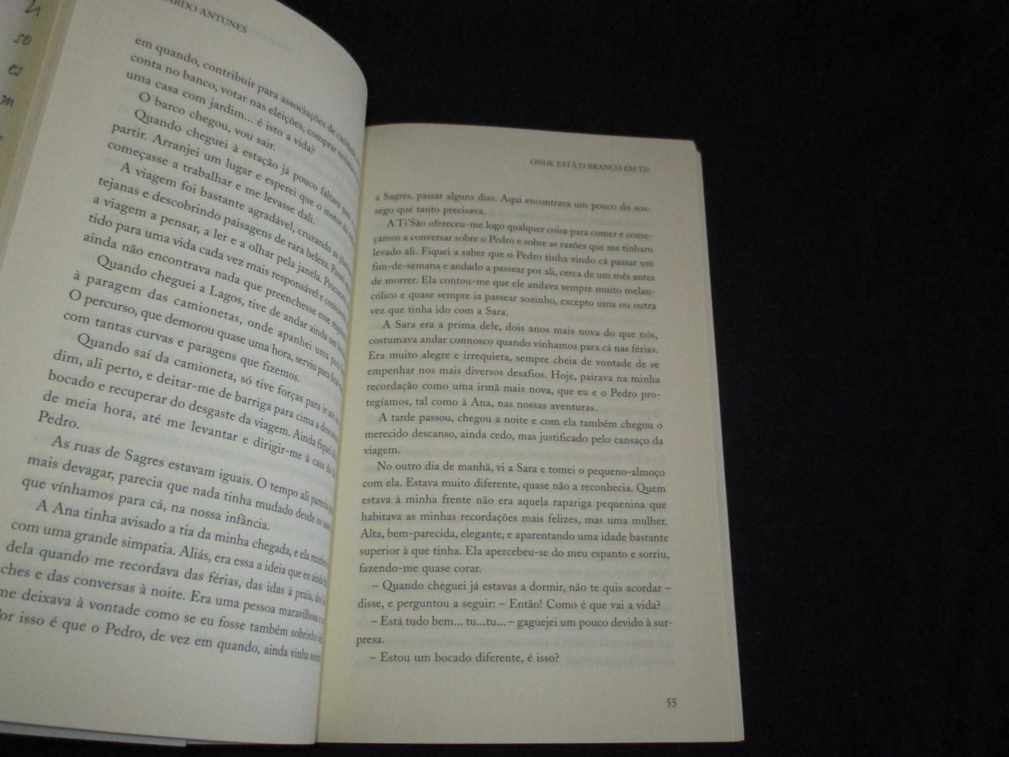 Livro Onde está o branco em ti? Ricardo Antunes