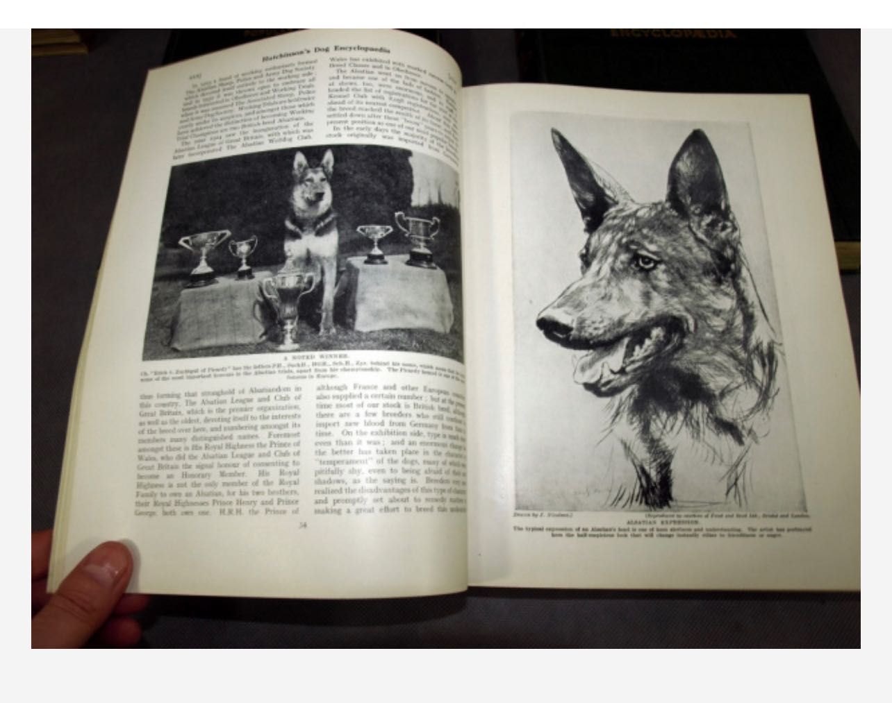 3-tomowa ENCYKLOPEDIA PSÓW Hutchinsona. Londyn 1935