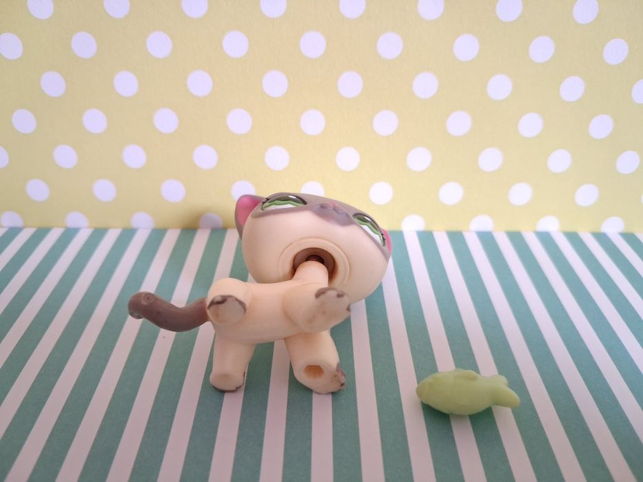 Littlest Pet Shop LPS unikatowy kot Shorthair #1116 pop