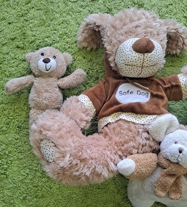 Ursos de Peluche Diversos