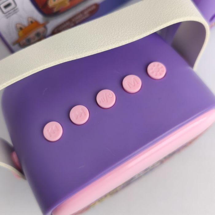 Караоке, міні колонка з двома мікрофонами Лабуба