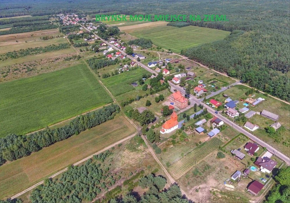 Dziaka Bryńsk Mazury