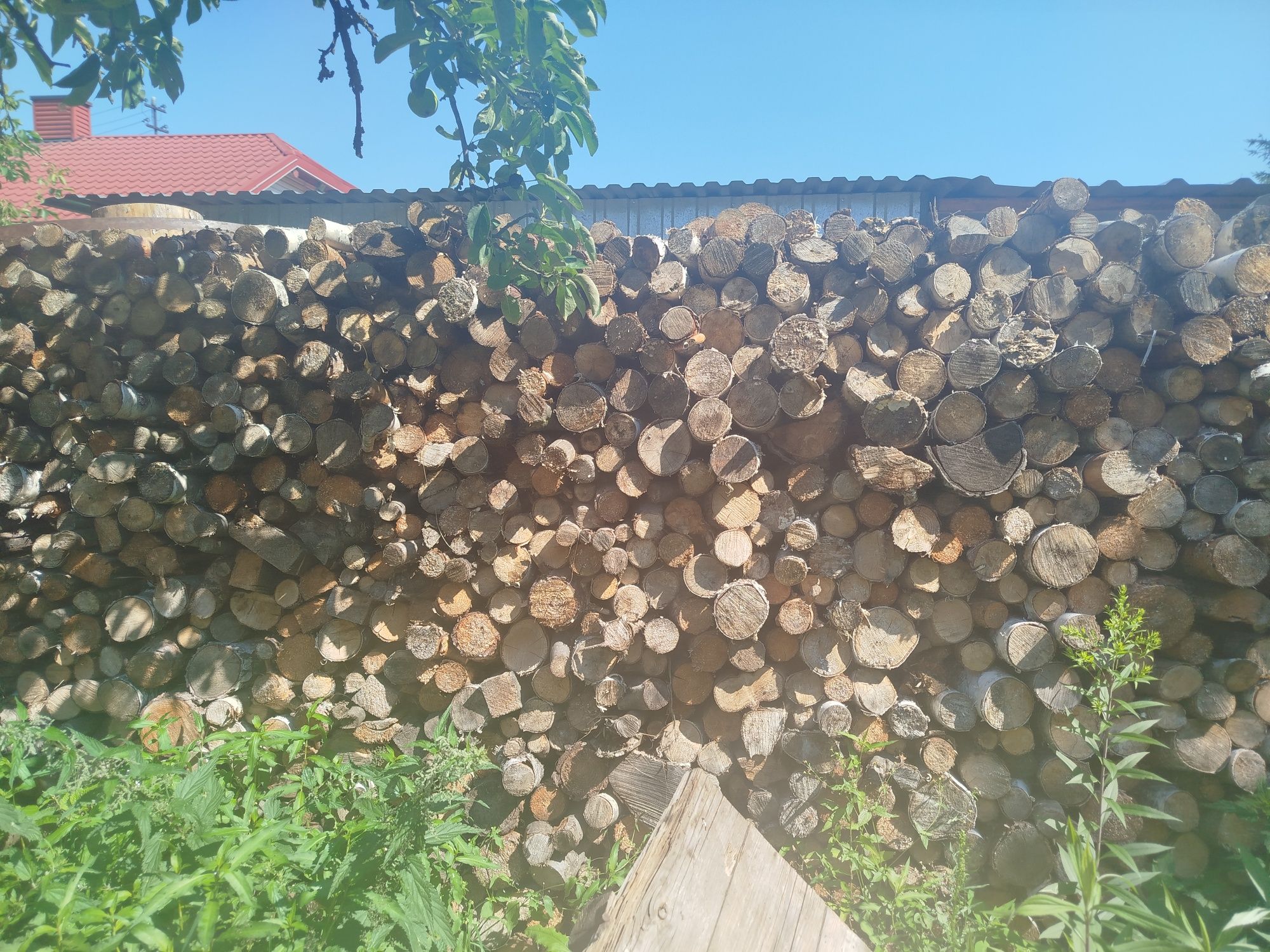 Drzewo gotowe pocięte na opał