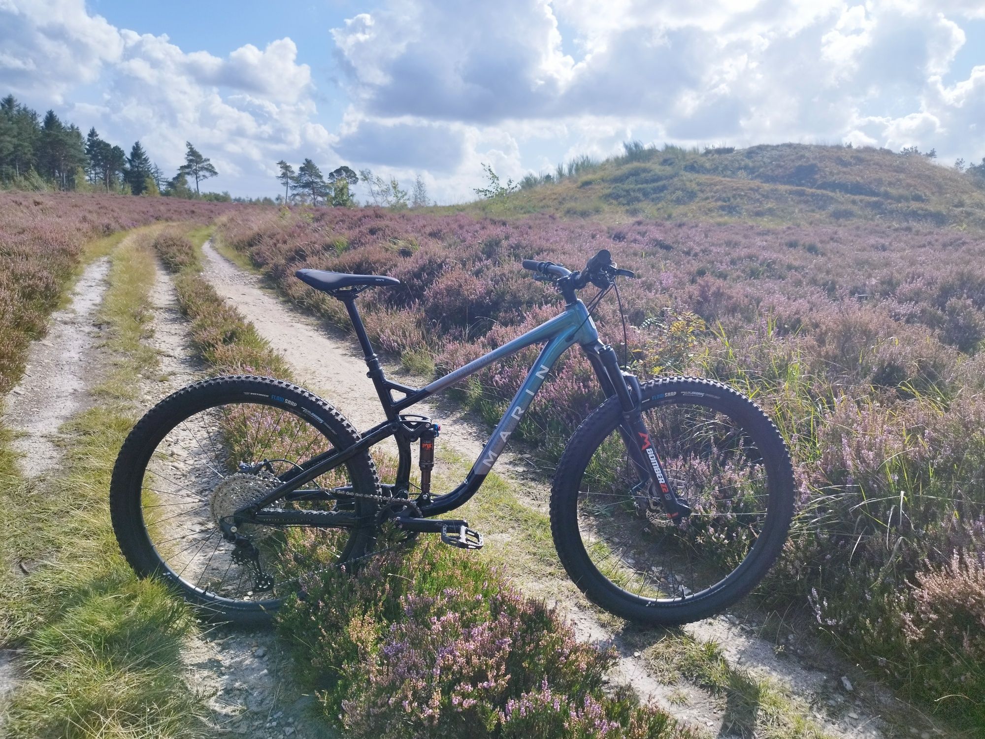 Marin Rift Zone 2