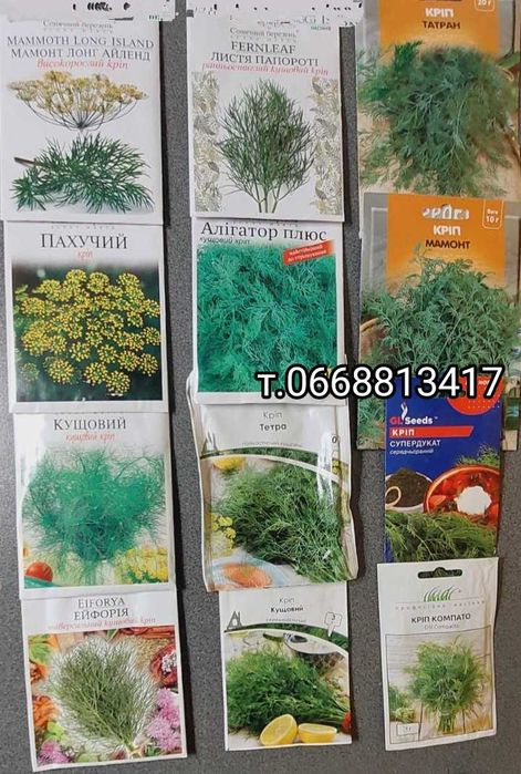 Насіння кріп петрушка редиска цибуля щавель люцерна руккола салат буря