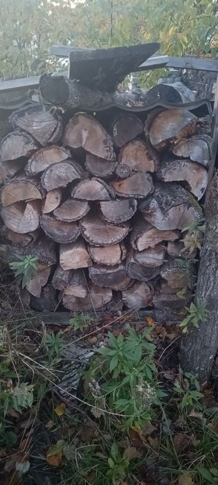 Drewno kominkowe opałowe dębowe