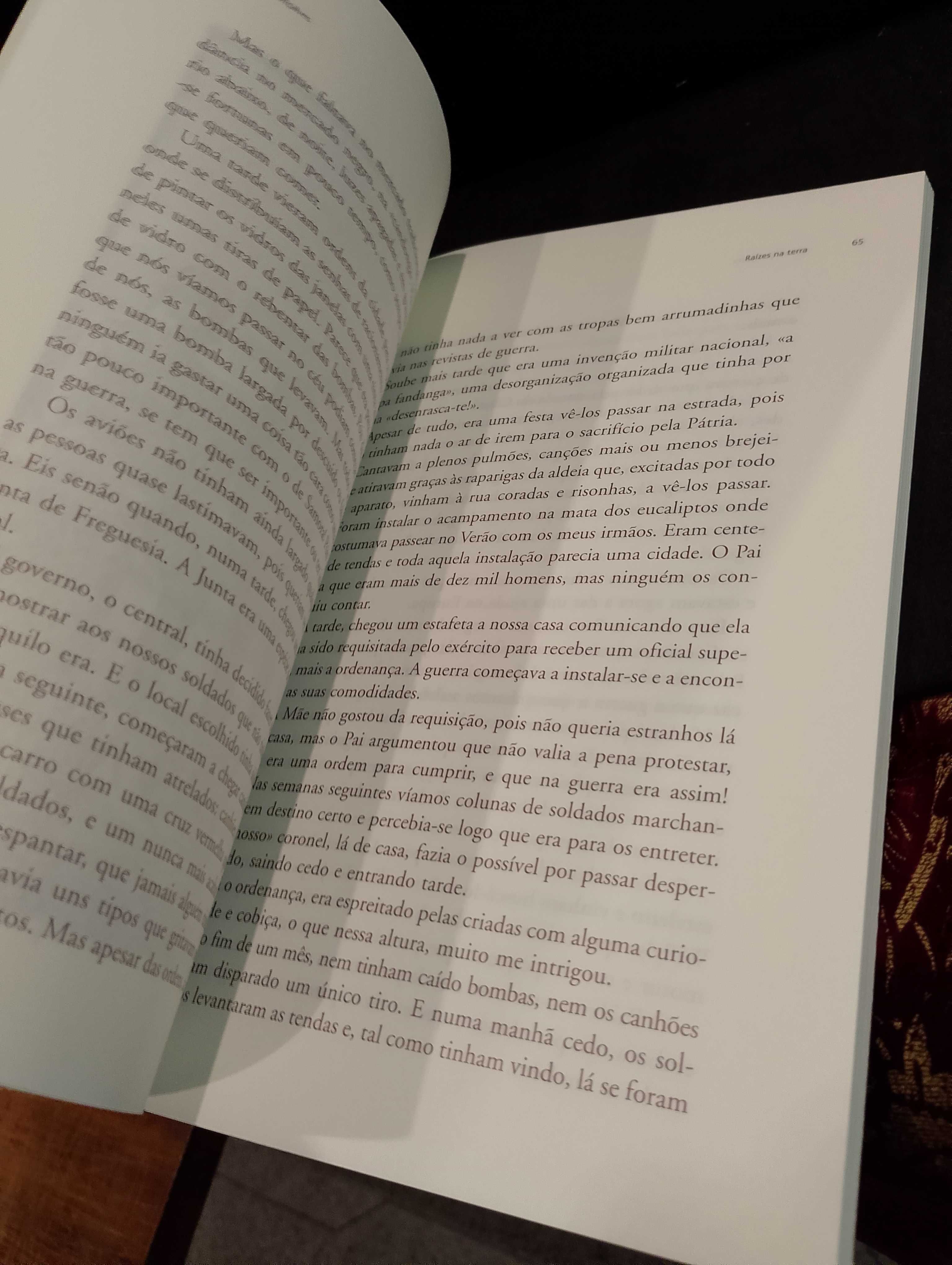 Raízes na Terra - Jacinto Gonçalves 1ª Edição