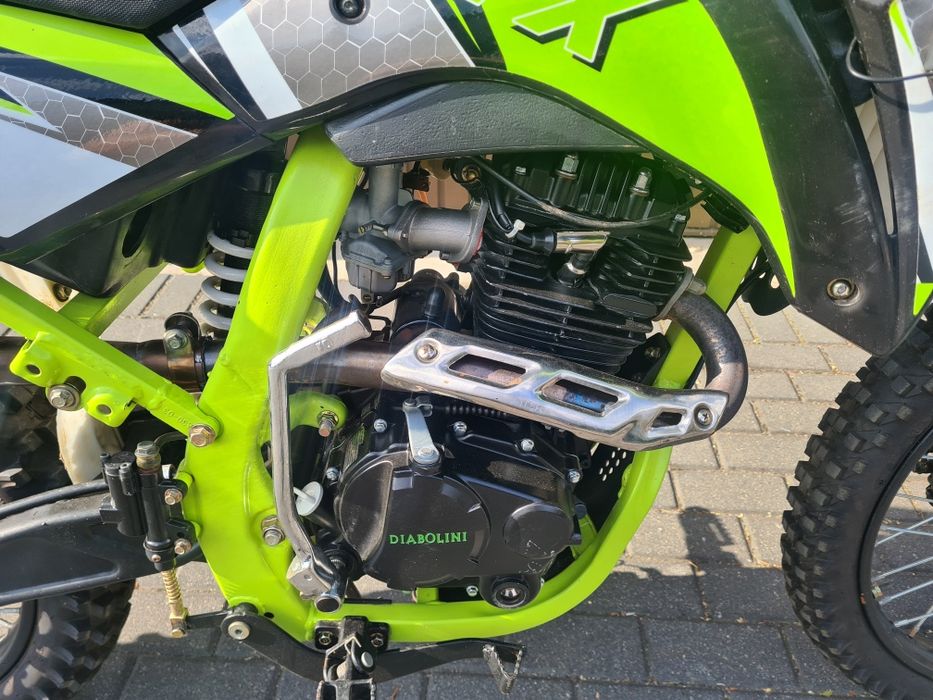 Diabolini fx 250 10mth