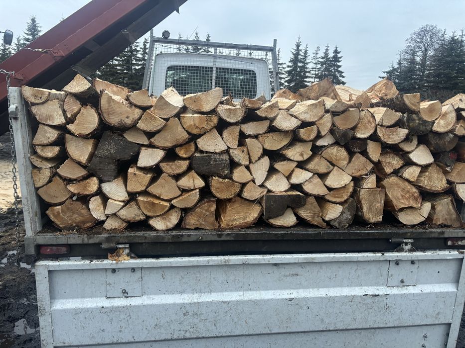 Drewno opal sosna brzoza dab olcha buk grab