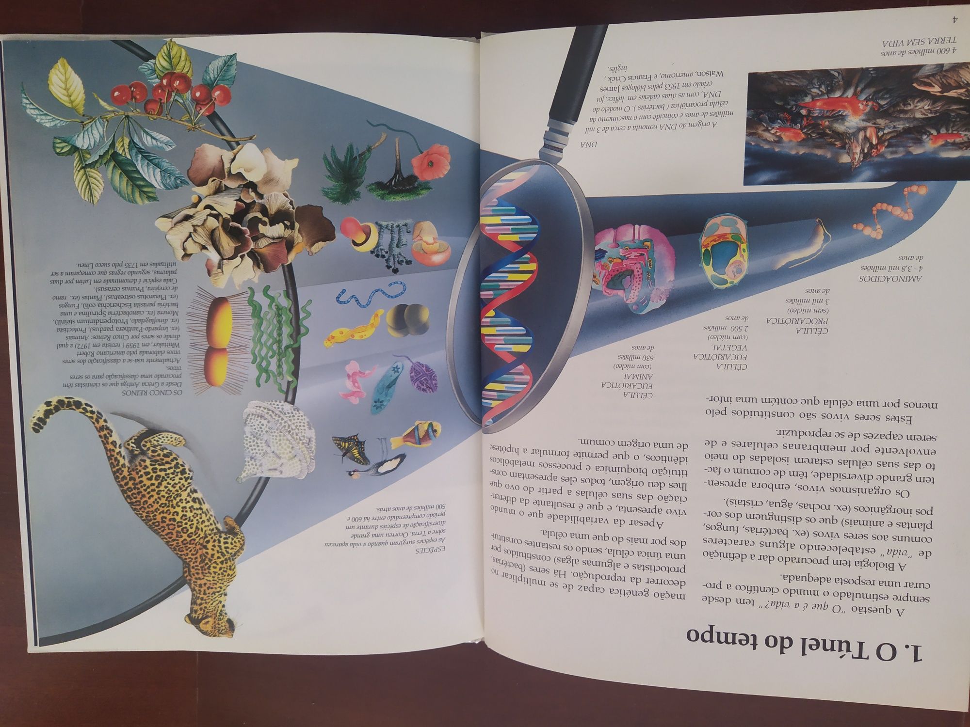 A Vida Origem e Evolução