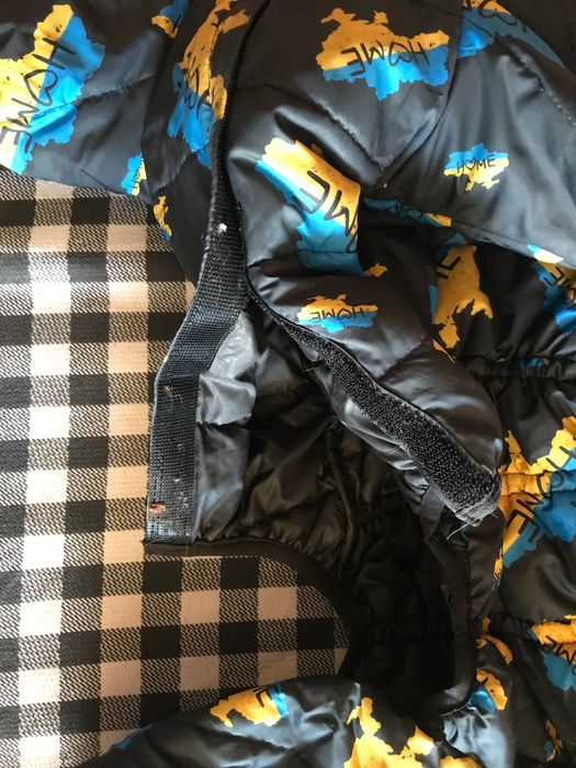 Комбінезон на песика