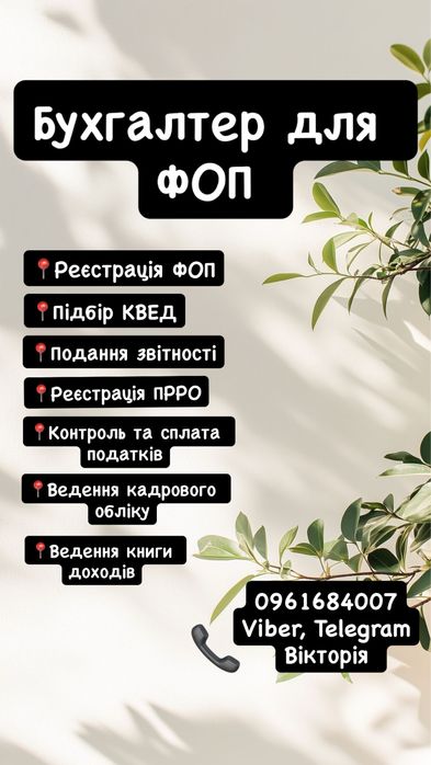 Бухгалтер для ФОП