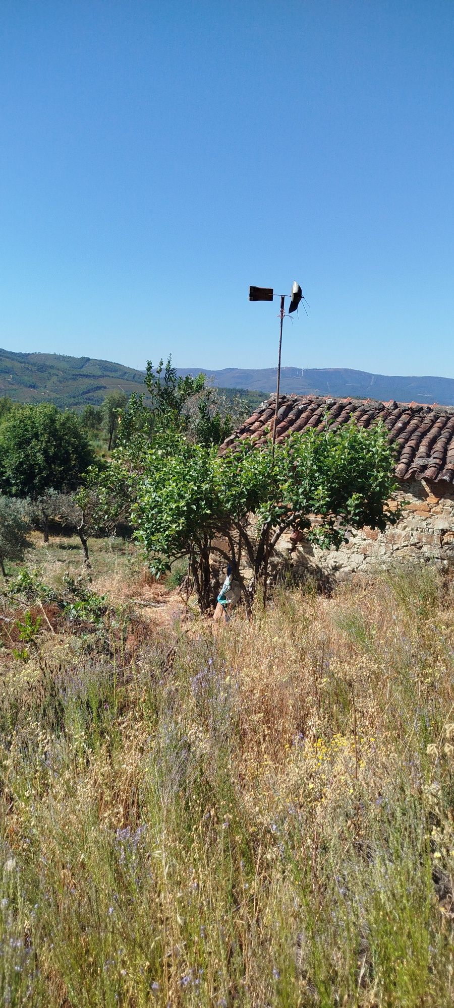 Quinta com duas casas em xisto