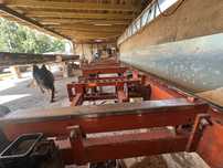 Trak taśmowy wood mizer LT 40
