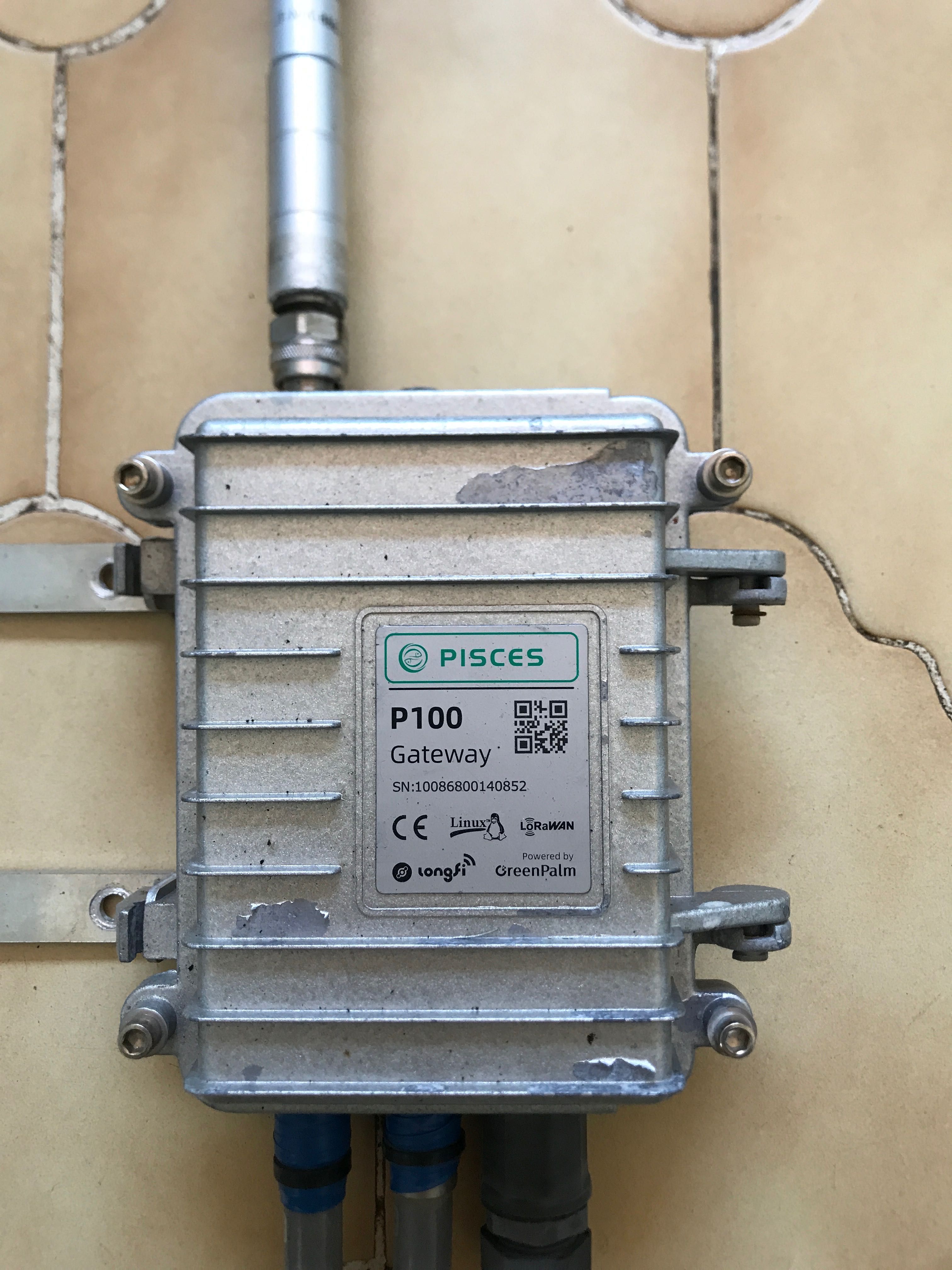 Piscies p100 - Minerador Helium e Crankk + extras