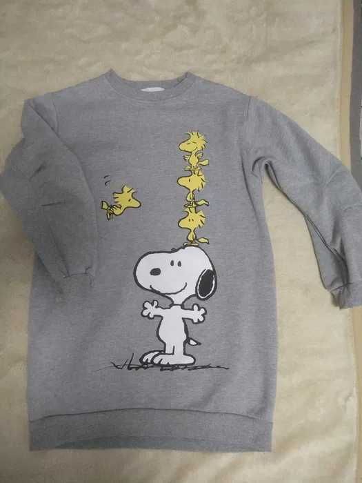ZARA sukienka dresowa/bluza mi dla dziewczynki 11/12 lat 152 cm