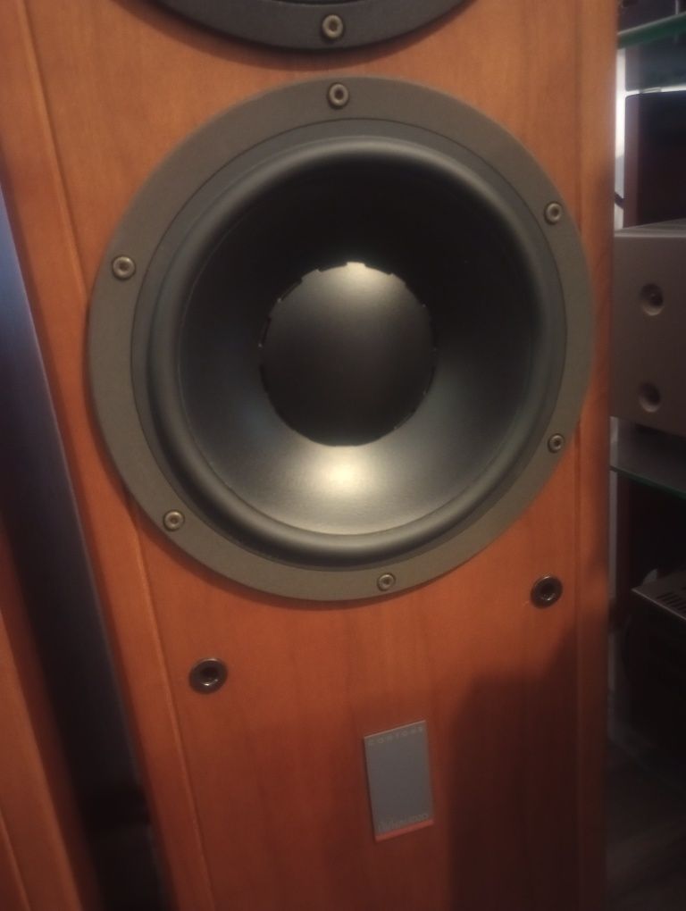 Dynaudio contour 2.8..Unikaty