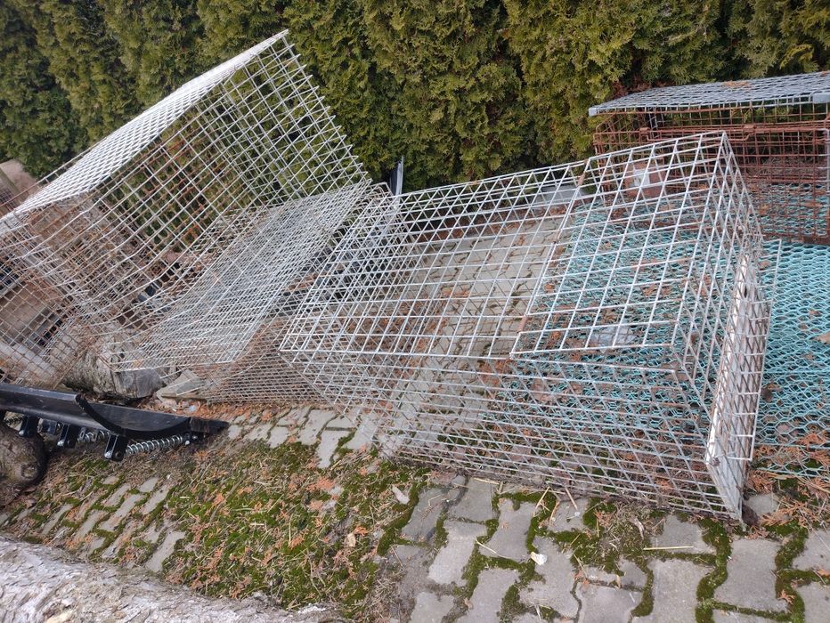 Klatki dla ptaków królików