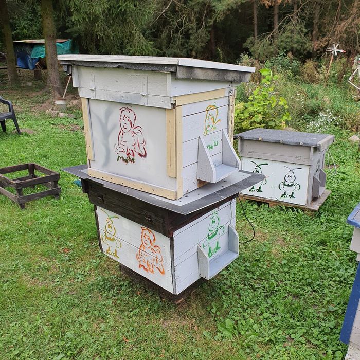 Ule dadnt stan bardzo dobry