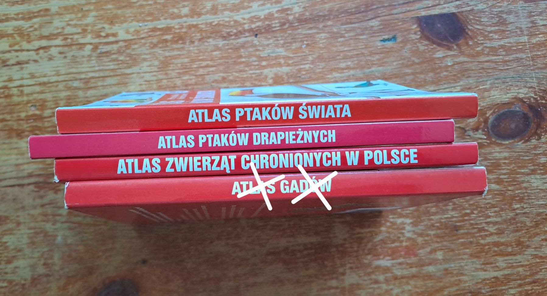 Atlasy zwierząt - ptaki świata, ptaki drapieżne, chronione w Polsce