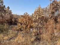 Terreno Rustico com 2000mt