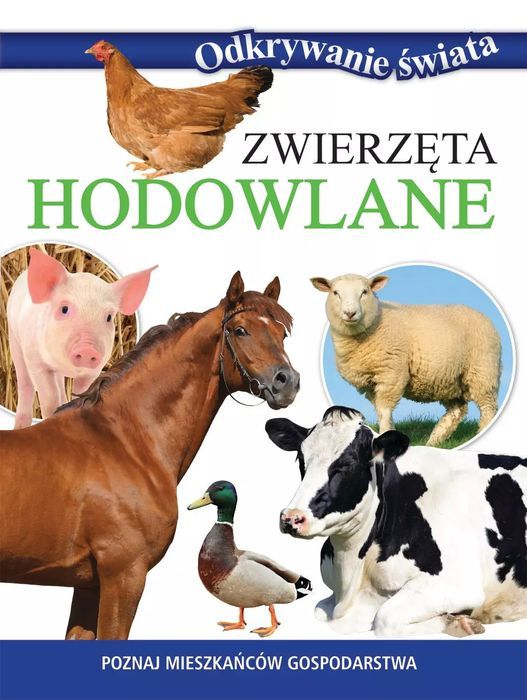 Odkrywanie Świata. Zwierzęta Hodowlane Olesiejuk Sp. Z O.o.