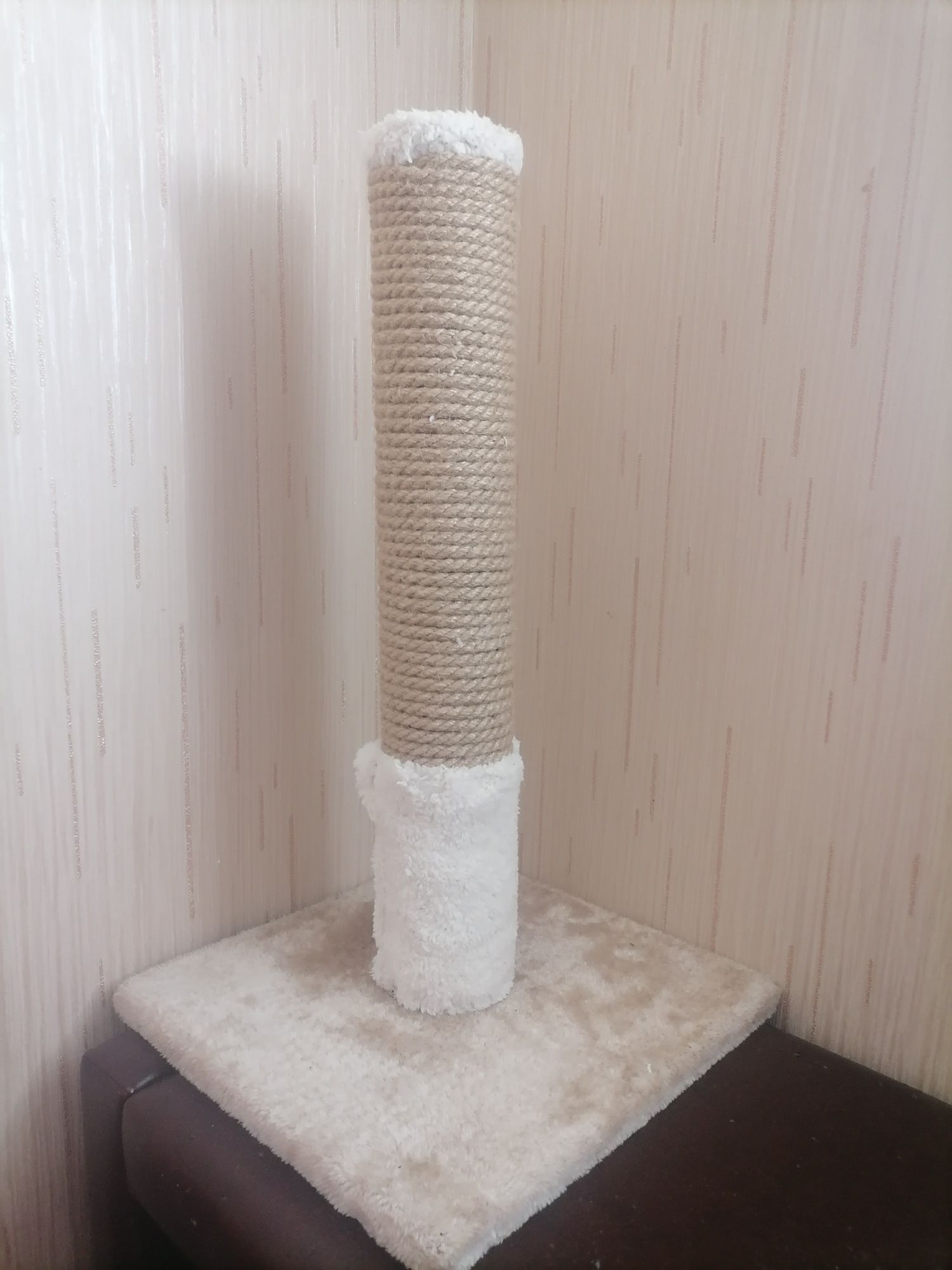 Когтеточка  для котика