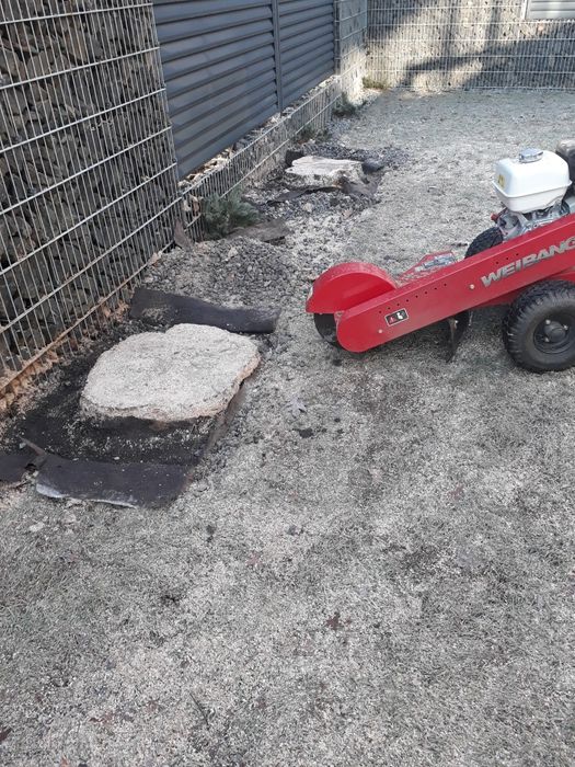 Glebogryzarka CEDRUS GLX540 WYNAJEM