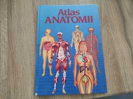 (stary) Atlas anatomii