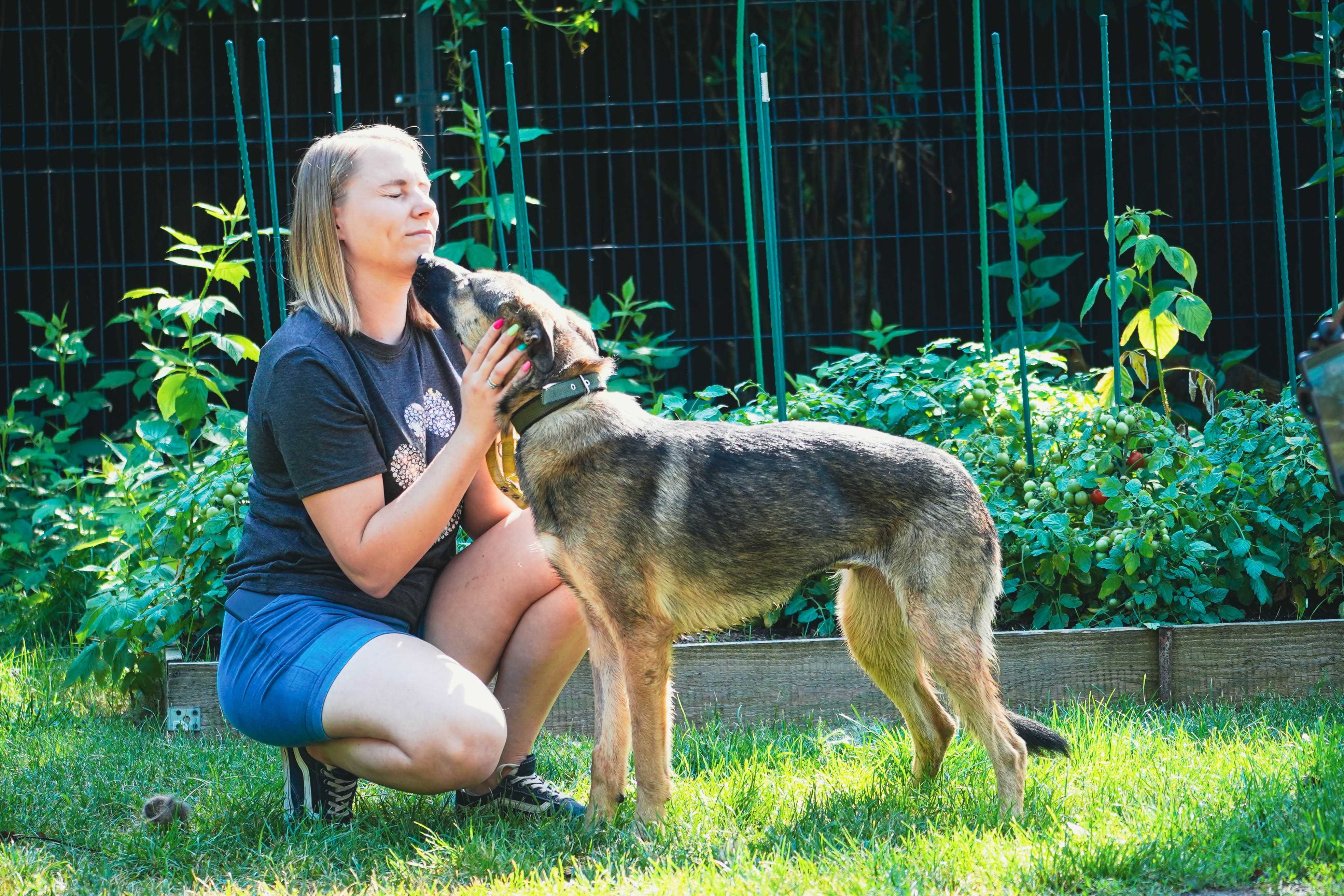 Dakota - mega fajna młoda sunia do adopcji