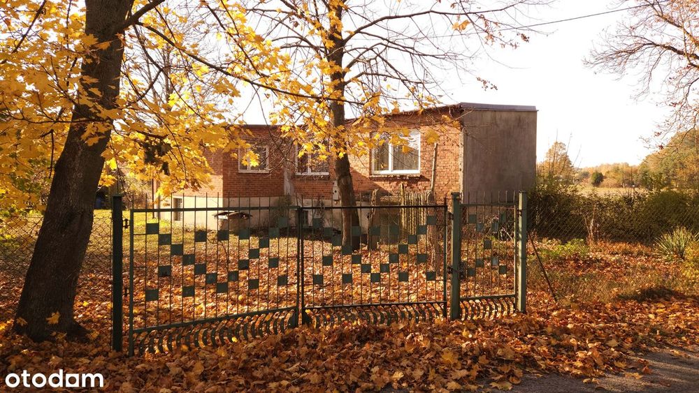 Działka 0,76 ha z domem i zabudową gospodarczą | Karczmy 19, gm. Zelów