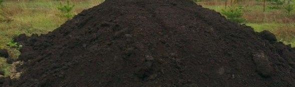 Ziemia ogrodowa, Czarna, Siana, pod trawnik TRANSPORT JUŻ OD 1 TONY