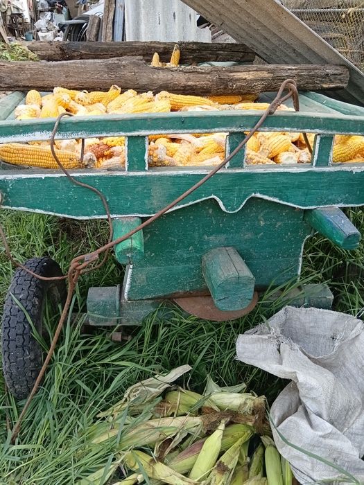 Продам віз для коня.
