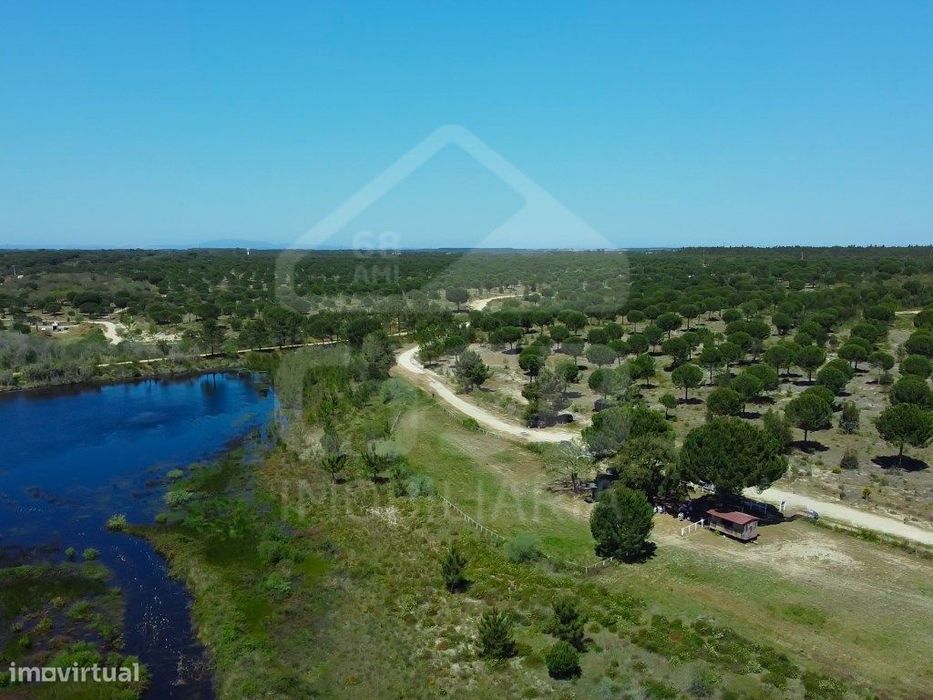 Terreno na Mata do Duque II, Santo Estêvão