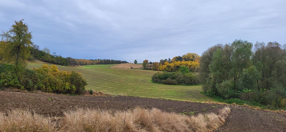 Dom Siedlisko Gospodarstwo Rolne Kociewie