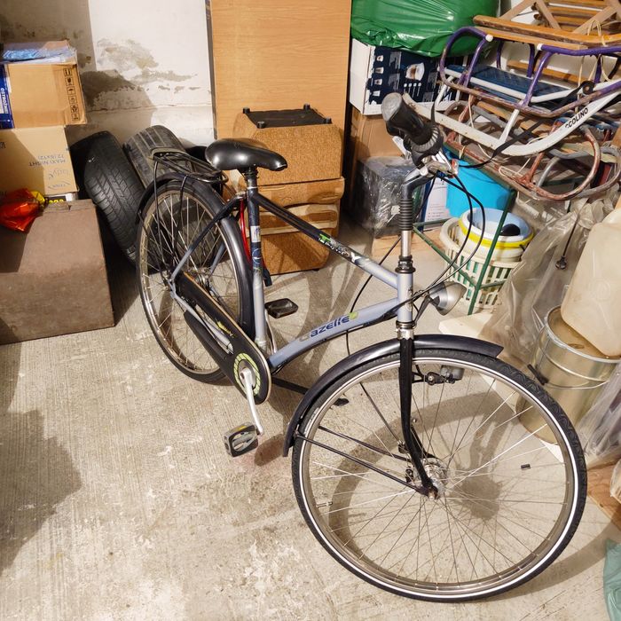 Rower męski Gazelle